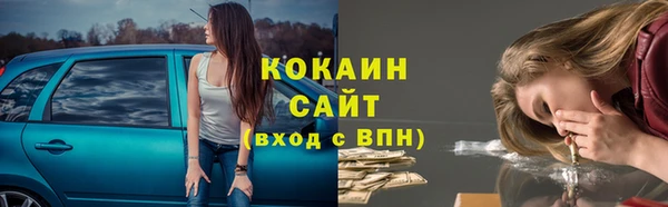 a pvp Алзамай